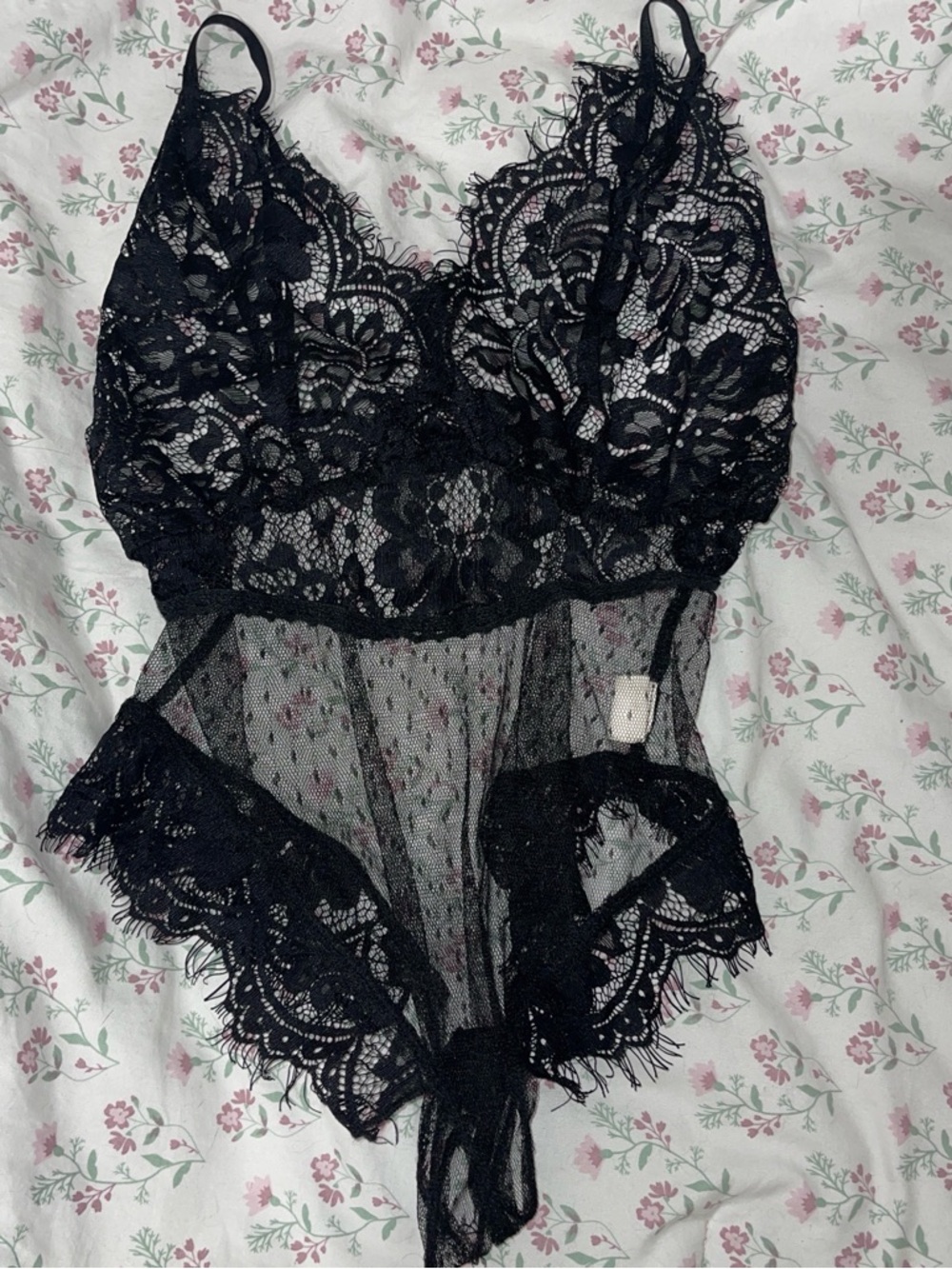 Fashion Nova Black Lace Sheer Teddy Bodysuit